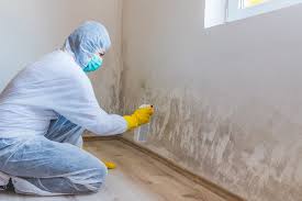 Best Water Damage & Mold Remediation in Fris, CO