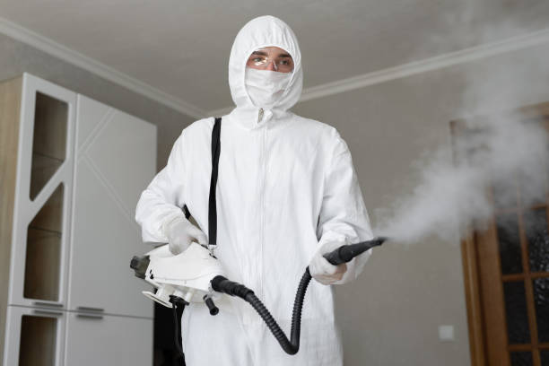 Best Biohazard Mold Removal in Fris, CO